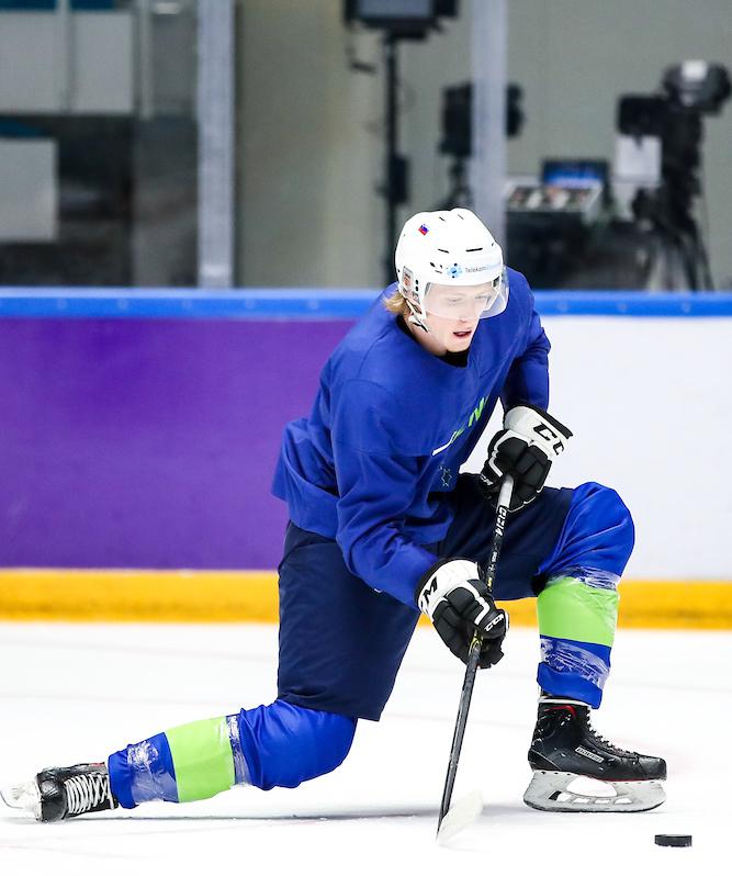 Upal je, da bo sezono začel v ligi AHL, a jo je v razvojni ligi, nato je le dobil priložnost v AHL, zdaj pa se je spet preselil v razvojno ECHL. | Foto: Matic Klanšek Velej/Sportida