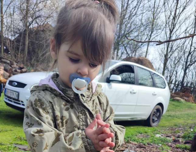 Dve leti stara deklica Danka je izginila v torek okoli 13. ure. Nazadnje so jo videli v naselju Banjsko Polje pri srbskem mestu Bor. | Foto: Jovana Dragomirović/Facebook
