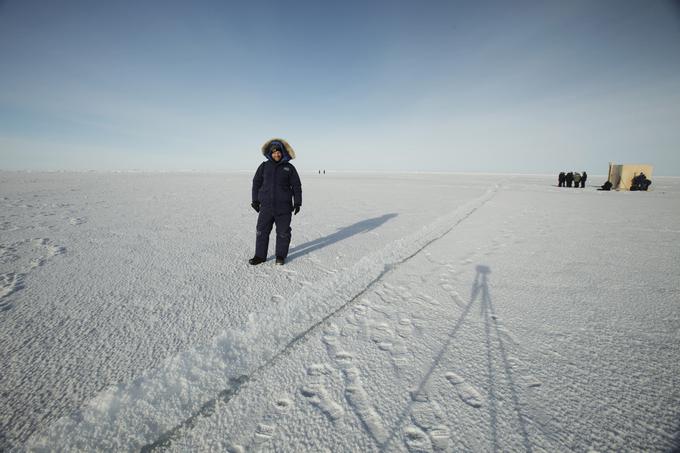 Temperature na Arktiki so bile decembra lani ter januarja in februarja letos od dve do šest stopinj Celzija višje od povprečja. | Foto: Reuters