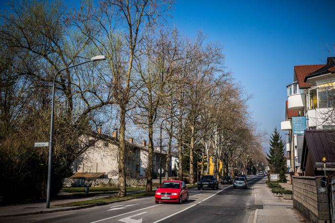 Koseze so bile nekoč vas na obrobju Ljubljane, s širitvijo in razvojem mesta so postale njegov del. | Foto: Vid Ponikvar
