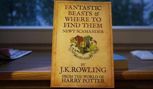 Filmski svet Harryja Potterja bo spet zaživel novembra 2016