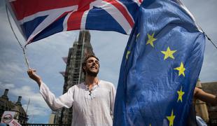 Brexit: slovensko podjetje povečalo zaloge v britanskem skladišču