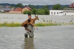 Ljudi rešujejo s streh, živali s poplavljenih polj #video