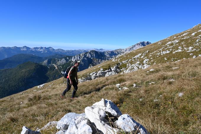 Vzpon po travnatem južnem pobočju Tosca. V ozadju gore nad Bohinjem. | Foto: Matej Podgoršek