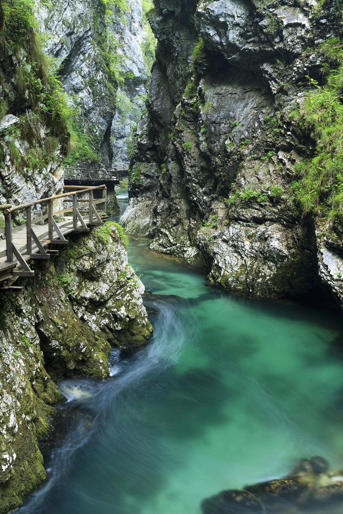 Bled Sava turizem | Foto: 