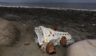 Na otoku Reunion in Maldivih niso našli razbitin malezijskega letala