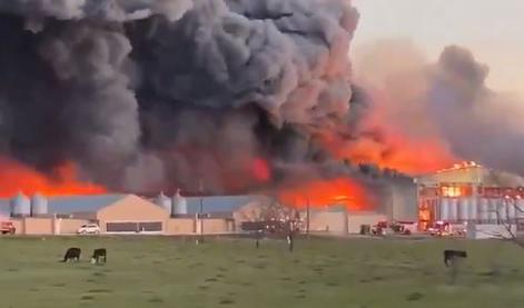 Boj s plameni v obsežnem požaru na perutninski farmi #video