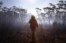 Več kot 110 strel v Avstraliji povzročilo smrtonosne požare (video)
