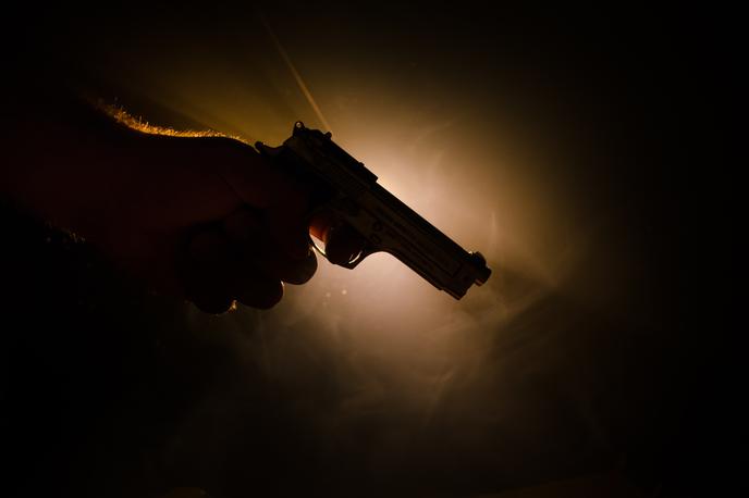 Orožje, puška, pištola | Izkazalo se je, da je šlo za orožje s slepimi naboji. | Foto Shutterstock