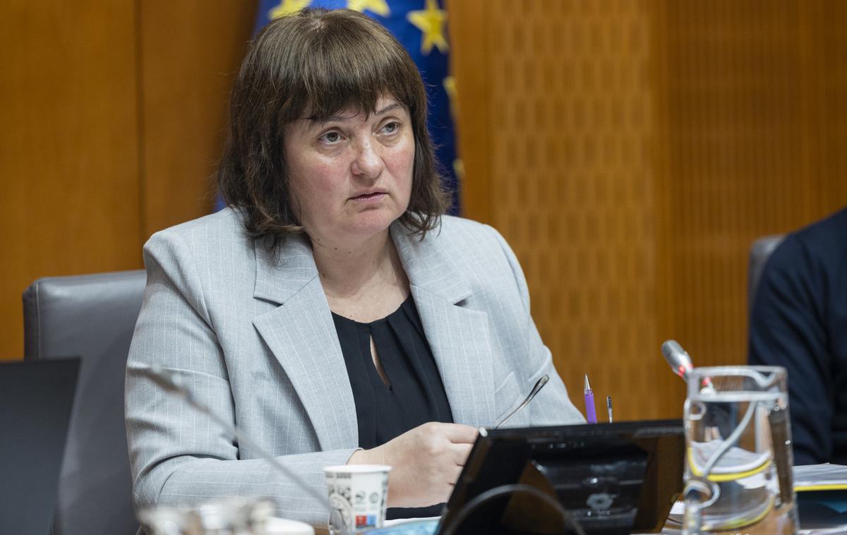 Tamara Vonta | Komisijo zanima, ali so se v povezavi s financiranjem strank morda dogajale zlorabe.  | Foto STA