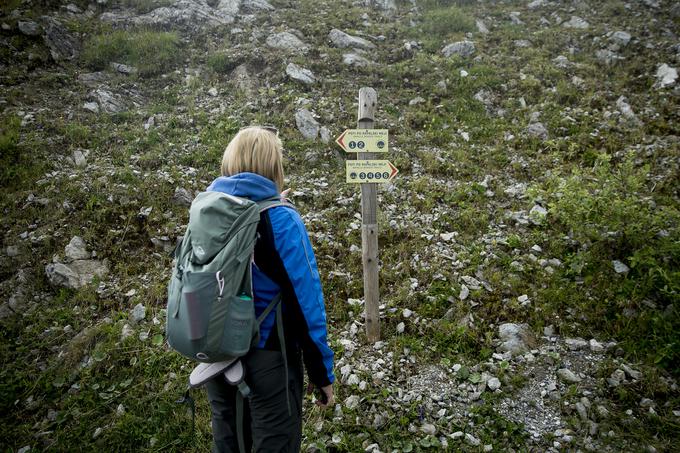 Obiskovalci Soriške planine si lahko ogledajo ostanke Rapalske meje oziroma Alpskega zidu, ki gre po vrhovih Lajnar, Slatnik, Možič in Baško sedlo, ki obkrožajo planino. | Foto: Ana Kovač