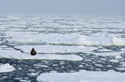 Taljenje Arktike je kritično: brez ledu do leta 2040
