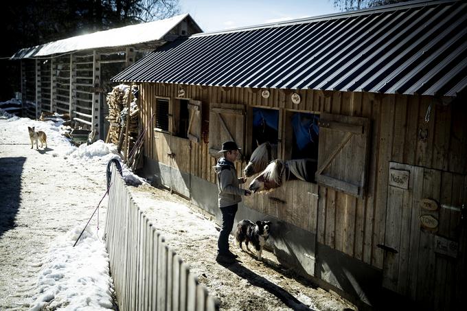 Turistično kmetijo razvija sedem let, štiri leta, odkar je zapustil službo, pa je ostal doma in skrbel izključno za razvoj kmetije.  | Foto: Ana Kovač