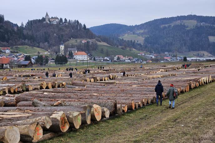 Les | Cene posekanega lesa padajo.  | Foto STA