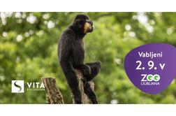 Prisrčno vabljeni na tradicionalni dan zavarovalnice Vita v Živalski vrt Ljubljana