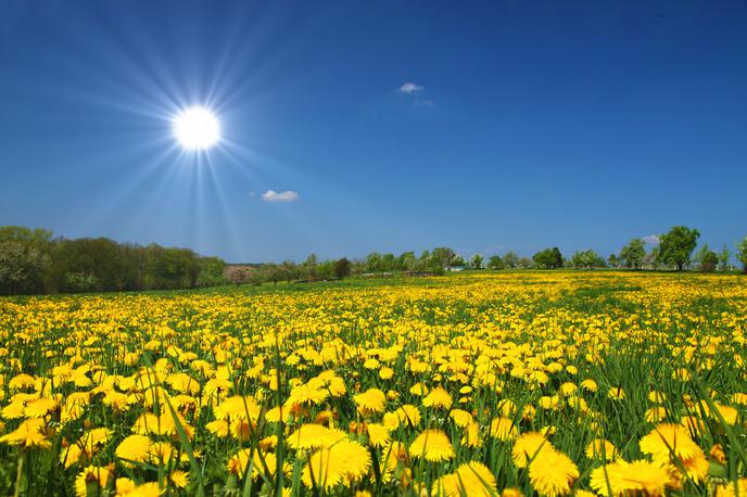 Sonce. Vreme. Pomlad. Hribi. | Do zdaj so v državi 30 stopinj Celzija najbolj zgodaj izmerili 23. aprila 2018. | Foto Shutterstock