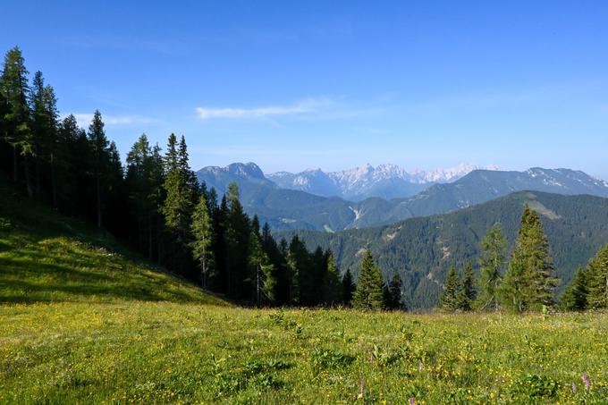 Pogled proti Kamniško-Savinjskim Alpam pred zadnjo uro in 15 minutami vzpona | Foto: Matej Podgoršek