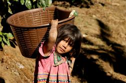 EU za okrepitev prizadevanj za odpravo otroškega dela