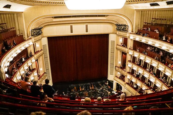 Dunaj, koncert | Koncert bo vodila avstrijska muzikologinja in novinarka Irene Suchy. | Foto Shutterstock