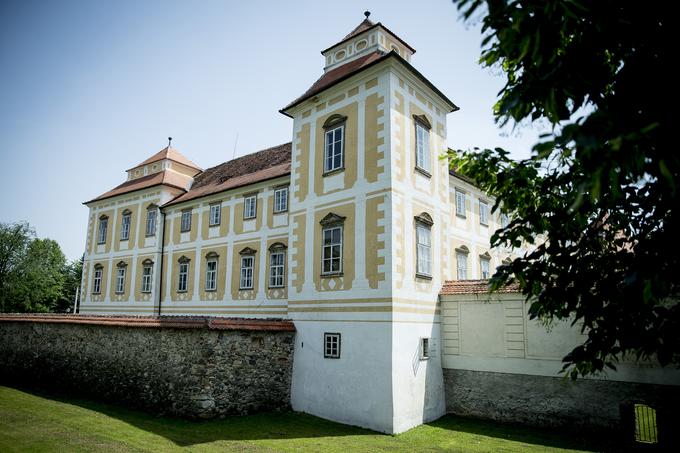 Bistrški grad je bil v pisnih virih prvič omenjen leta 1313. Najprej je bil v deželnokrajnski lasti, leta 1587 pa je prešel v zasebne roke. Leta 1717 so ga kupili grofje Attemsi in ostali njegovo lastniki vse do leta 1945. | Foto: Ana Kovač