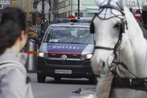 Dunaj, policija