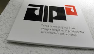 Kako nadzirajo delo slovenskih kolektivnih organizacij?