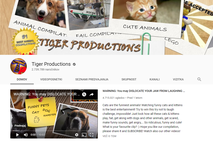 Tiger Productions