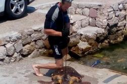Moški na jadranski obali ubil zaščiteno želvo