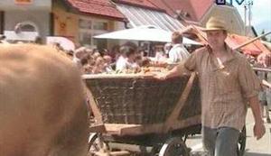 Praznik krompirja v Šenčurju 2011 (VIDEO)
