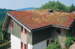 Spremenite sivo puščavo na vaši strehi v zeleno oazo