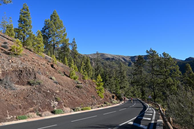Šest cest v narodni park El Teide je zelo priljubljenih tudi med kolesarji. | Foto: Matej Podgoršek