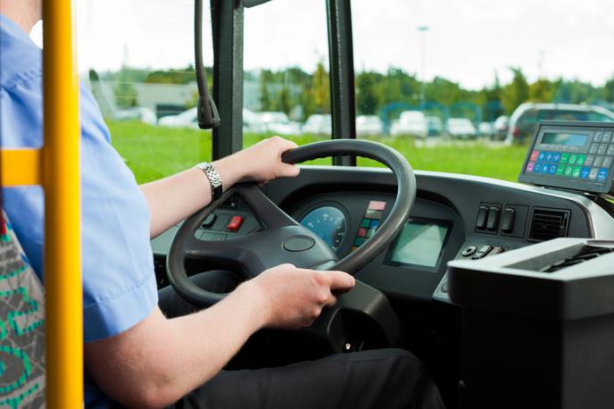 Voznik šolskega avtobusa | Fotografija je simbolična. | Foto Shutterstock