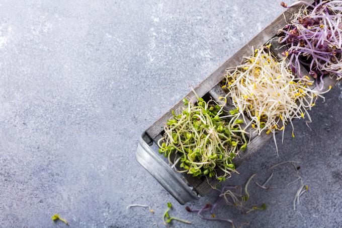 Kalčke v nasprotju z mikrozelenjavo uživamo cele, s korenino vred. | Foto: Getty Images