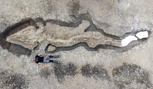 Odkrili so ostanke morskega zmaja #video