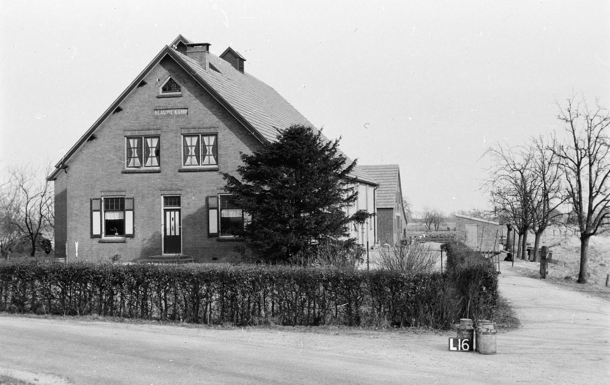 Ommeren | Na območju nizozemske vasi Ommeren naj bi nemški vojaki nekaj tednov pred koncem vojne zakopali zaklad. | Foto Guliverimage