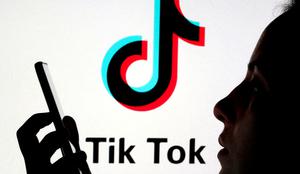 Javnim uslužbencem prepovedali uporabo TikToka, Twitterja in Netflixa