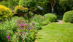 Lotite se načrtovanja in priprave vrta za novo vrtnarsko sezono