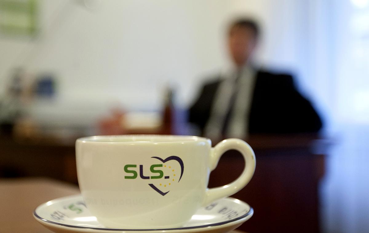 SLS | SLS je stranka, ki je od leta 1994 naprej najuspešnejša slovenska stranka na županskih volitvah. | Foto Ana Kovač