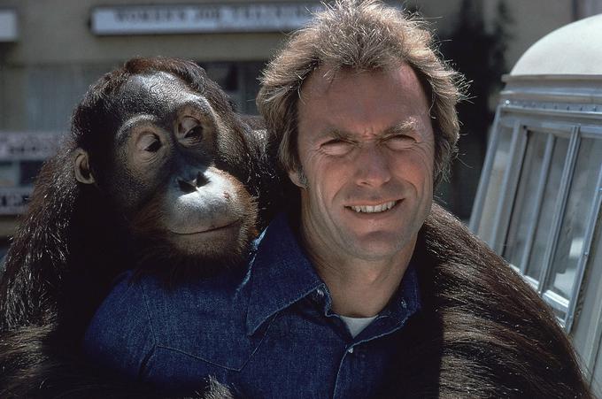 Clint Eastwood skupaj z orangutanom Clydom v akcijski komediji Mož iz San Fernanda (Every Which Way but Loose). | Foto: Guliverimage