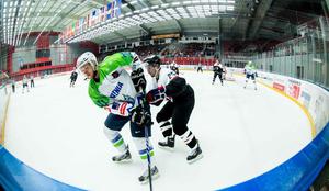Nov hokejski dom je našel na Slovaškem