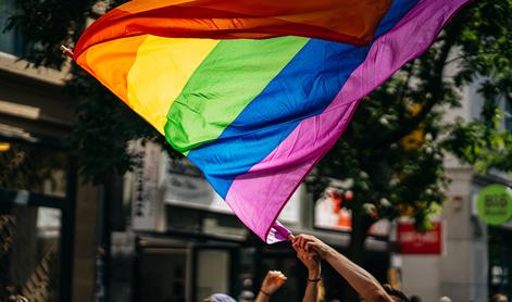 DZ uzakonil pravico istospolnih do posvojitve otrok