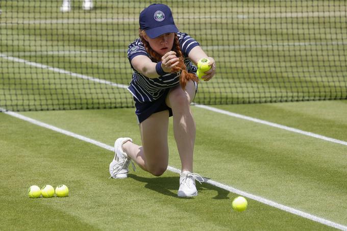 pobiralka žogic. Wimbledon | Foto: Guliverimage