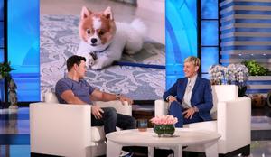 Mark Wahlberg je namesto Kim Kardashian domov pripeljal psa #video