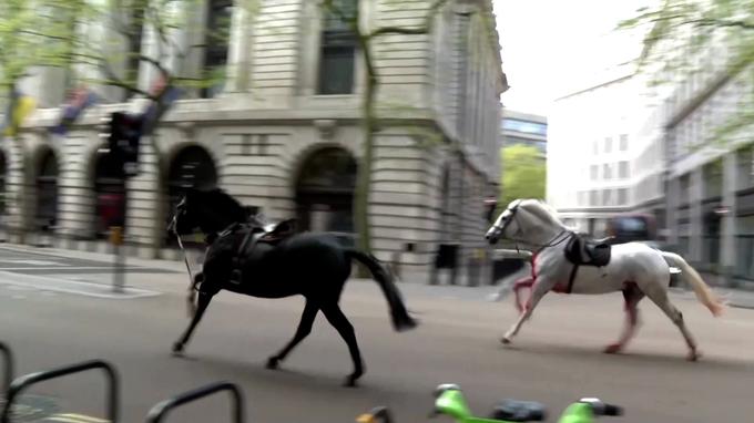 Konji v Londonu | Foto: Reuters