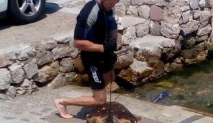 Moški na jadranski obali ubil zaščiteno želvo