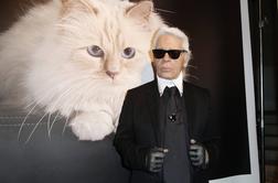 Bo mačka Karla Lagerfelda glavna zvezda modnega dogodka leta?