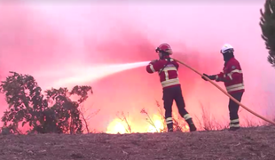 Požari divjajo tudi na Korziki, Portugalskem in v Alžiriji #video