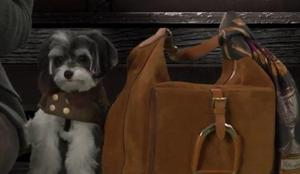 Ralph Lauren z dobrodelno pasjo kolekcijo