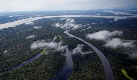 Velikansko odkritje v amazonskem pragozdu, ki postavlja zgodovino na glavo