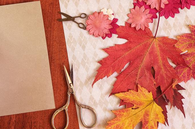 jesen listje dekoracija par narava | Foto: Thinkstock